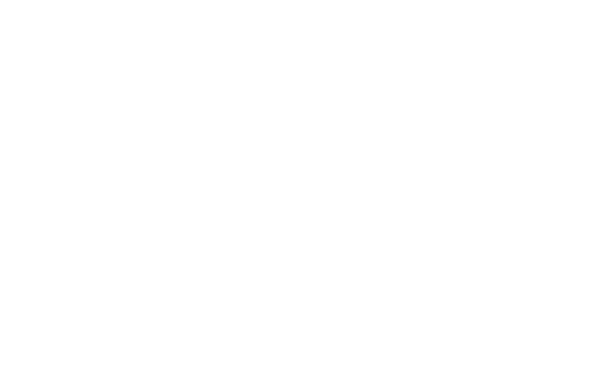 Wedding King